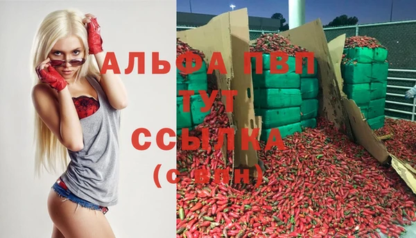 ешки Арсеньев