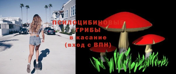 ешки Арсеньев