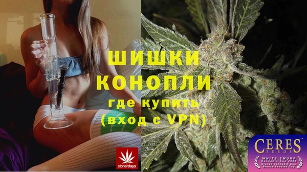 PSILOCYBIN Армянск