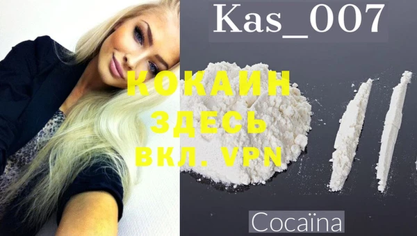 ешки Арсеньев
