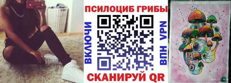 OMG как войти  Усть-Илимск  Галлюциногенные грибы Psilocybine cubensis  закладка 