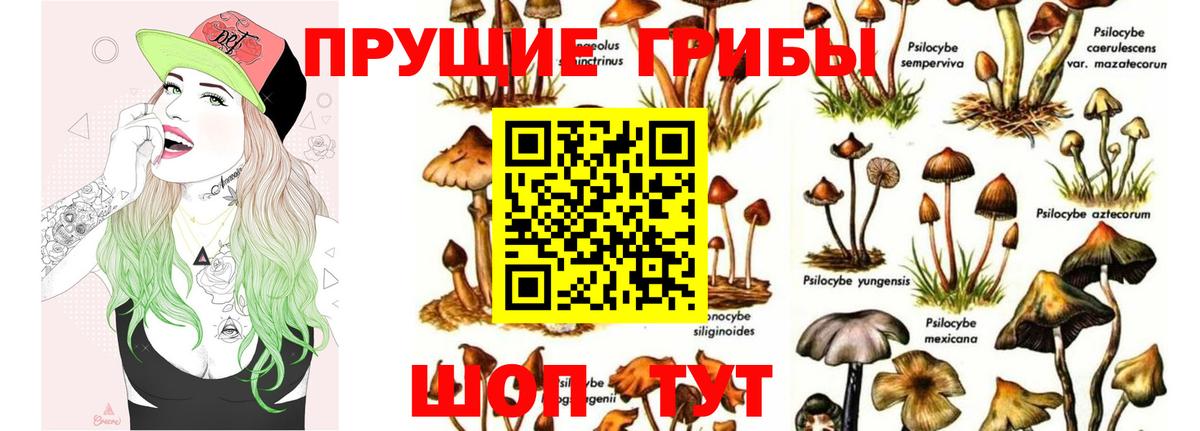 БУТИРАТ Усть-Илимск